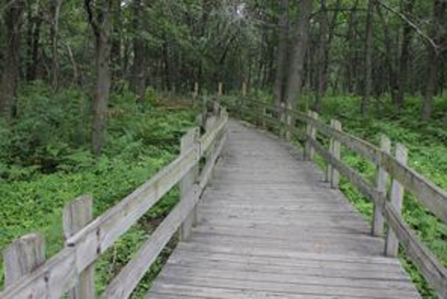 Trail access
